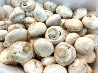 양송이버섯 제철 손질법과 볶음 요리 보관까지 전부 알려드립니다_15