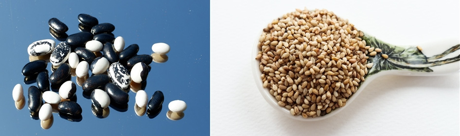 바닥에 놓인 검은 콩과 흰콩 사진, 그리고 커다란 숟가락에 참깨가 가득 담겨져 있는 사진