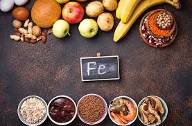 Ferritin 수치