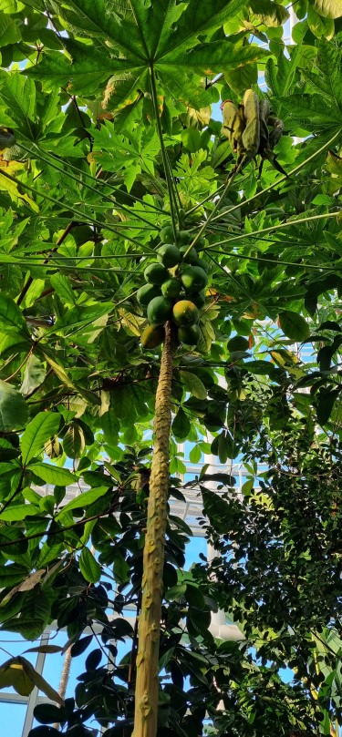 세종 국립 수목원