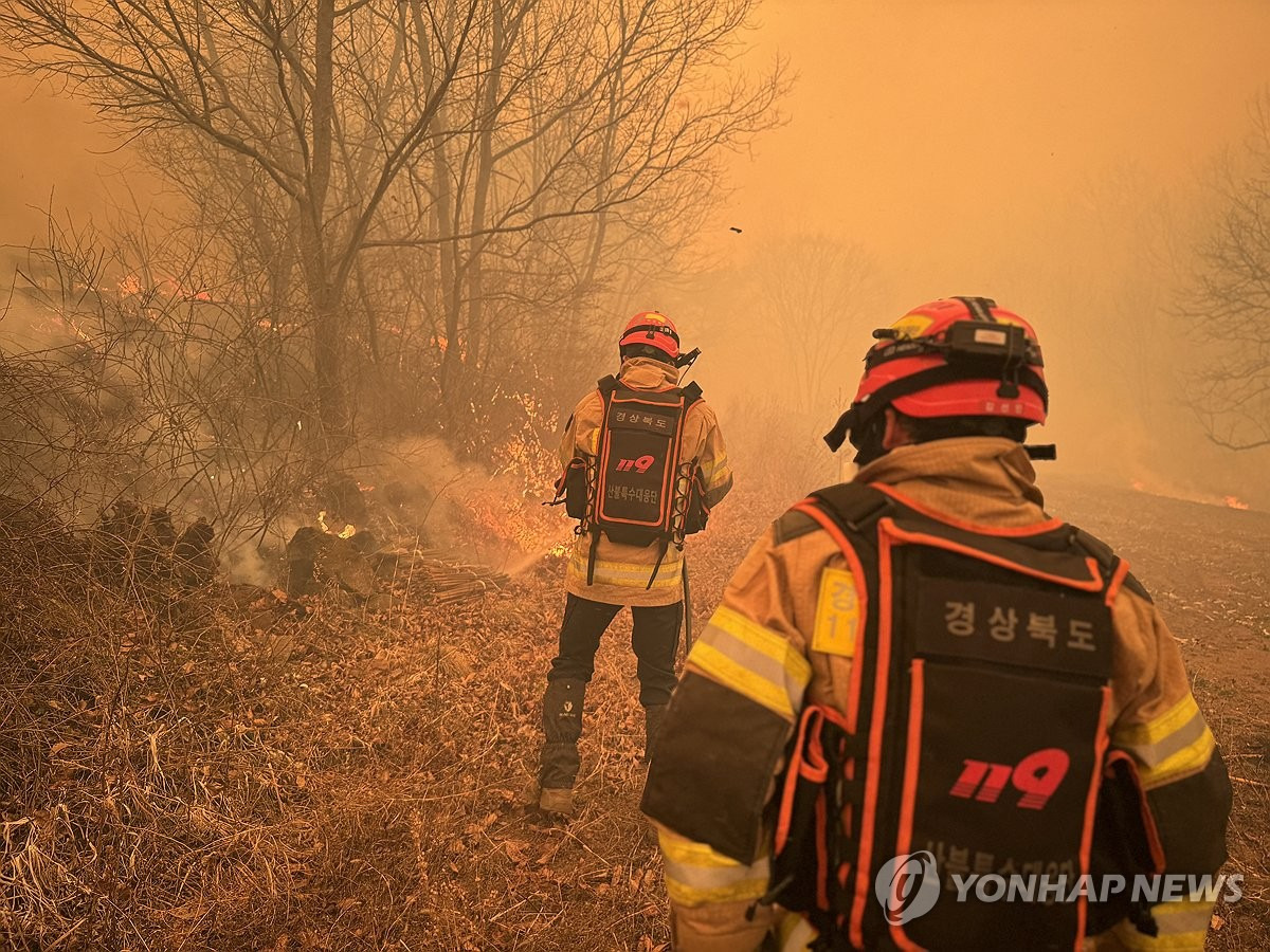 산불재난문자 꼭 알아야 할 정보 (사진 : 연합뉴스)