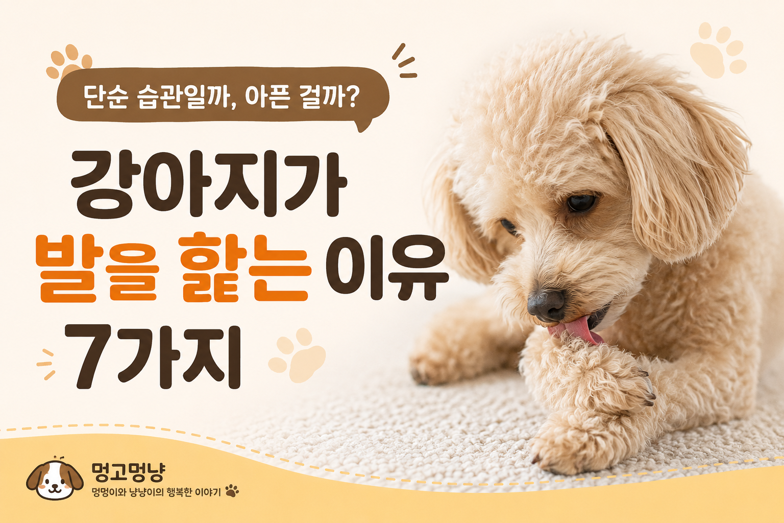 강아지 발사탕