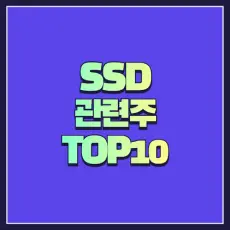 SSD 관련주 추천