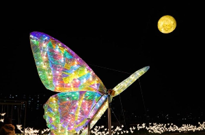 진도바닷길축제