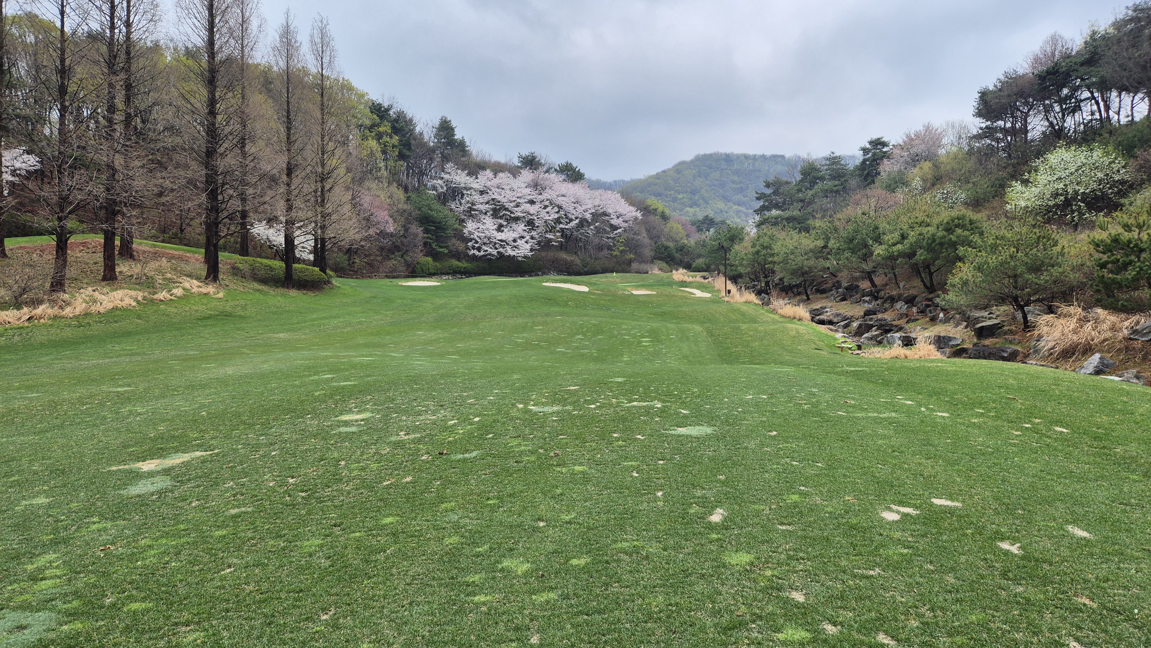 레인보우힐스cc 동-남 코스 사진 및 공략 정보