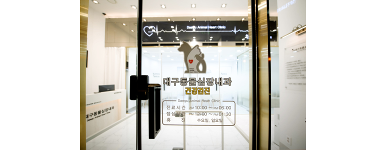 대구 중구 동물병원
