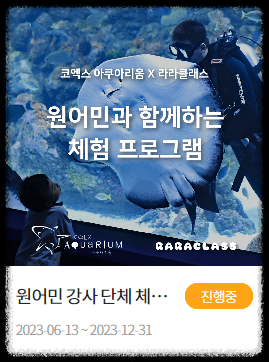 [당일치기] 코엑스 아쿠아리움 놀거리&amp;주차&amp;이벤트&amp;할인혜택