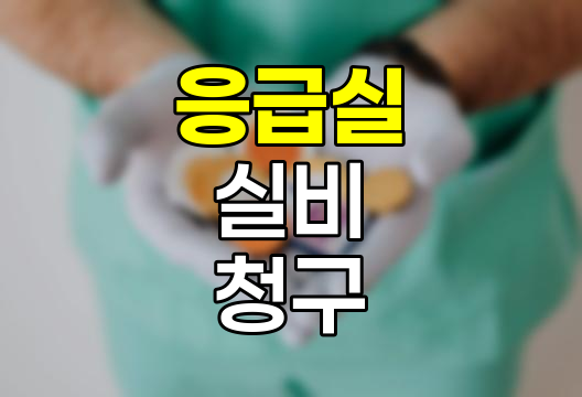 응급실 실비보험 청구 핵심 포인트