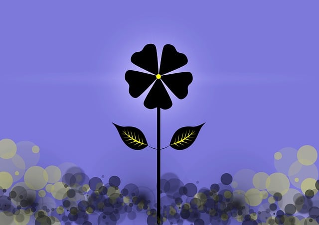 들깨 파종시기 바로 보기 9