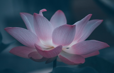 공수래 공수거 뜻 총정리, 불교용어인가? 유래와 한자 의미