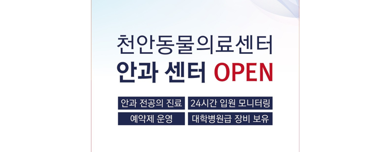 천안 서북구 동물병원