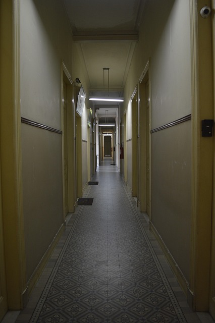 국비지원 요양 보호사 자격증 취득방법 및 자격요건