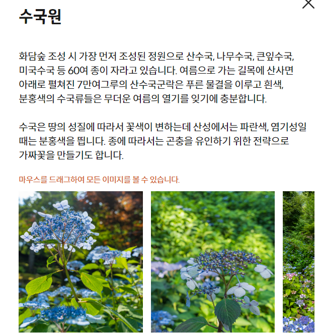 가을단풍명소-화담숲-테마원-둘러보기