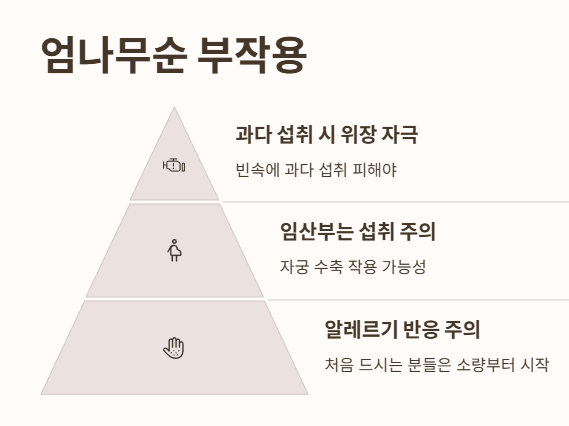 엄나무순 부작용