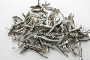 골다공증에 좋은 음식06