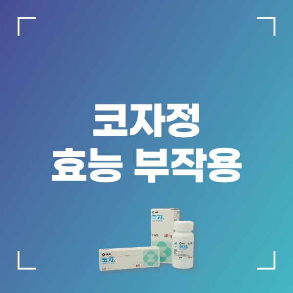 코자정 성분 효능 복용법 부작용
