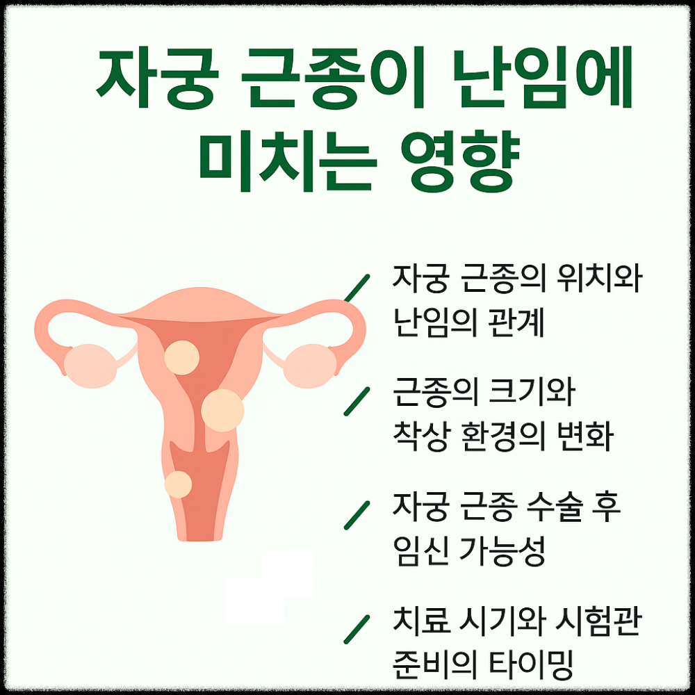 자궁 근종이 난임에 미치는 영향 인포그래픽