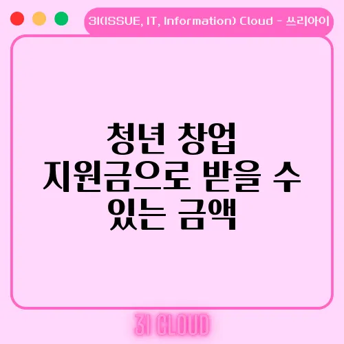 청년 창업 지원금으로 받을 수 있는 금액