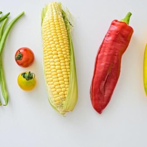 토마토 옥수수 고추