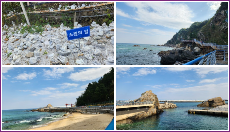 정동진 부채길