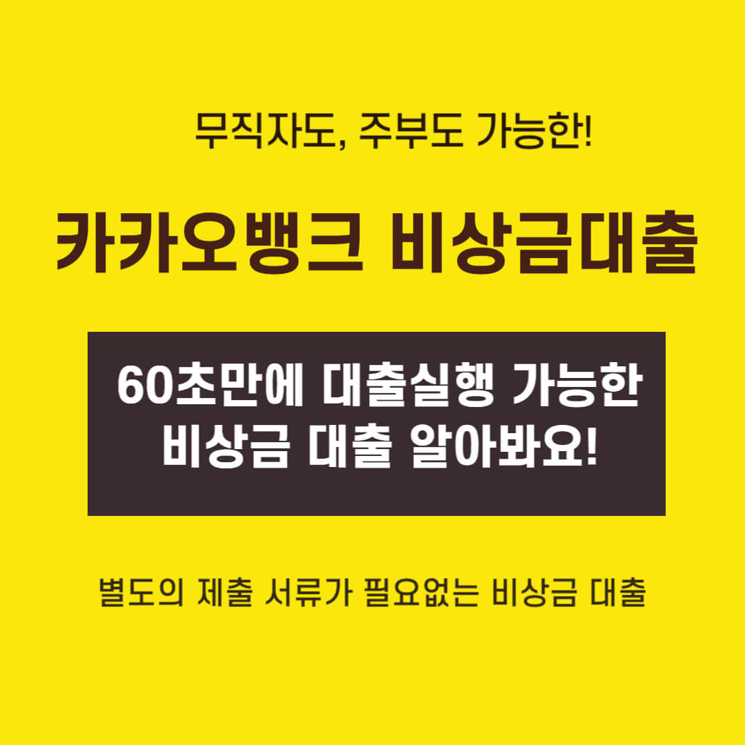 비상금대출