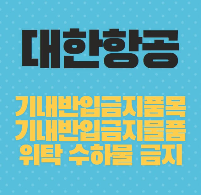 기내반입금지품목