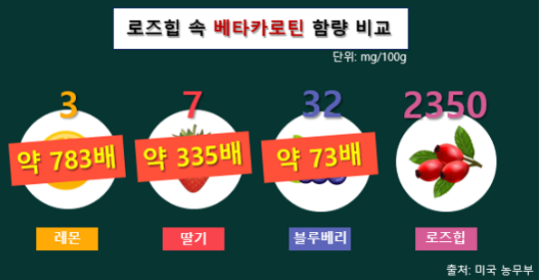 로즈힙퓨레