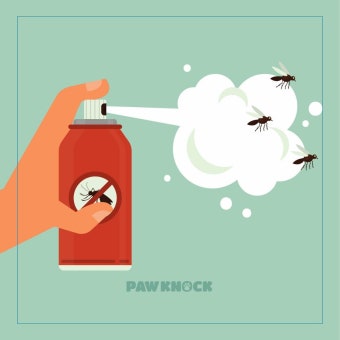 러브버그 출몰시기 및 퇴치방법