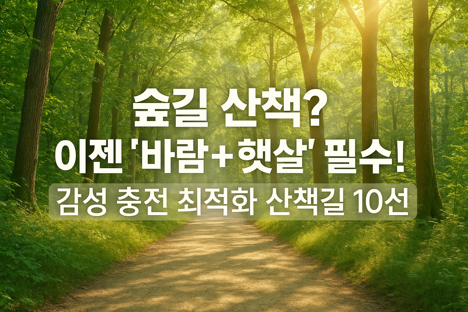 숲길 산책? 이젠 '바람+햇살' 필수! 감성 충전 최적화 산책길 10선