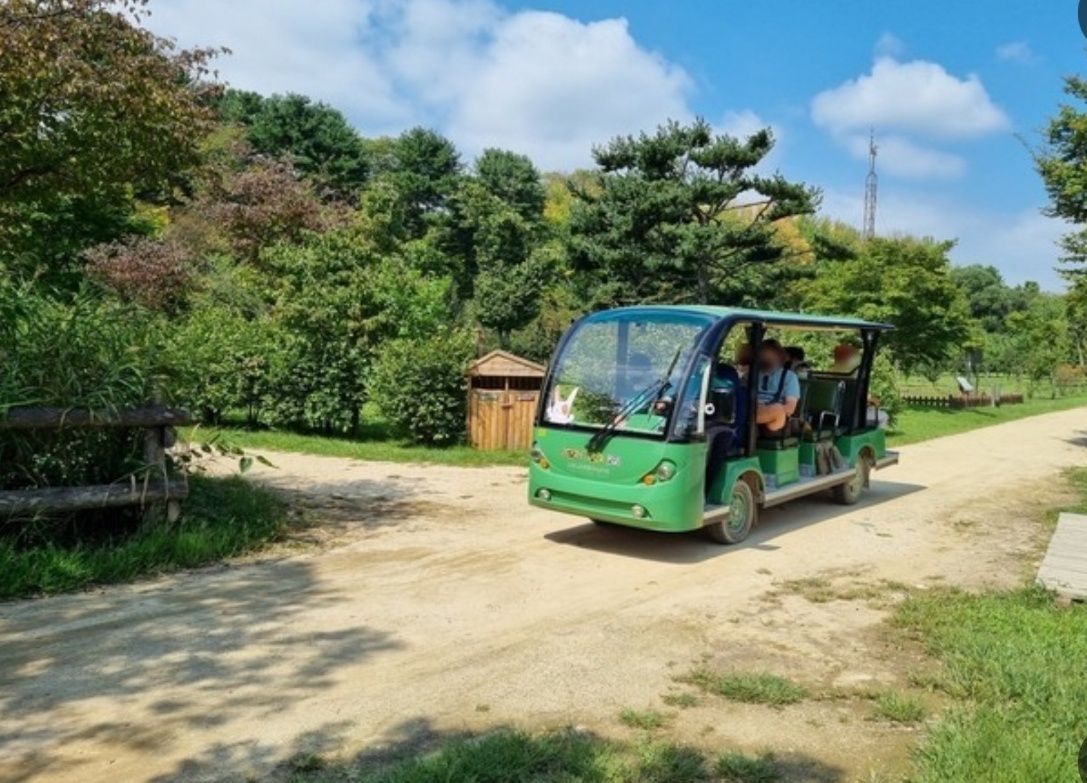 남이섬 스토리 투어버스 이미지