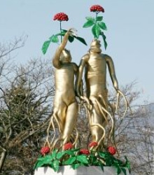 증평 인삼 조형물