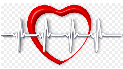 1분 스트레칭이 심박 변이도에 주는 미세한 영향