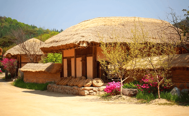 튼튼한 초가집이 있다. 지붕은 짚으로 단단하게 만들어졌고 집 주변엔 분홍색 꽃들이 피어있다.