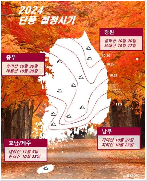 2024 단풍시기