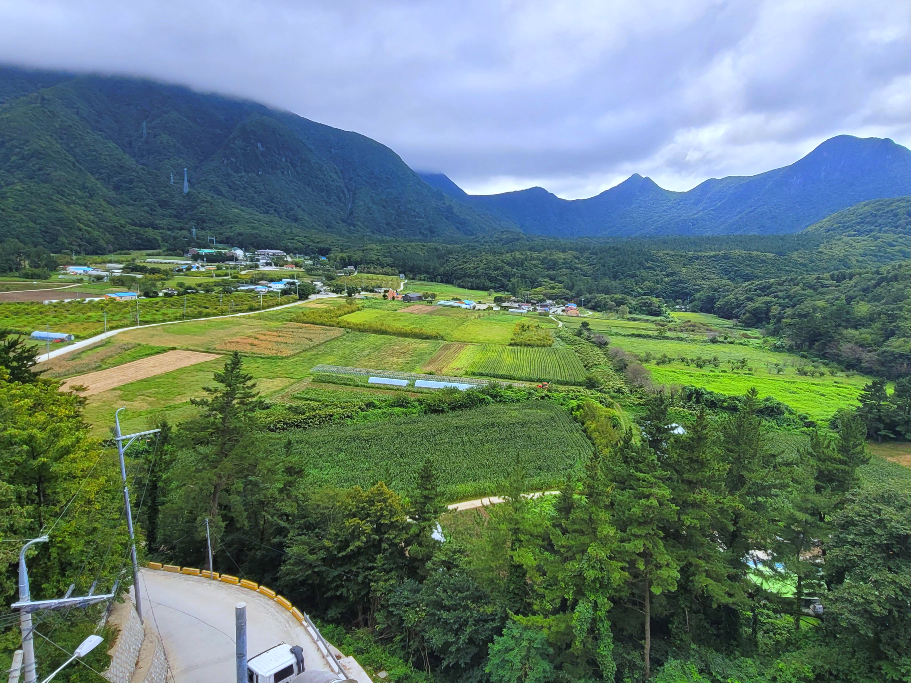 나리분지 맛집 식당&#44; 주차장 숙박 가볼만한곳 총정리