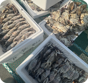 6시 내고향 게장 전북 부안 맛집