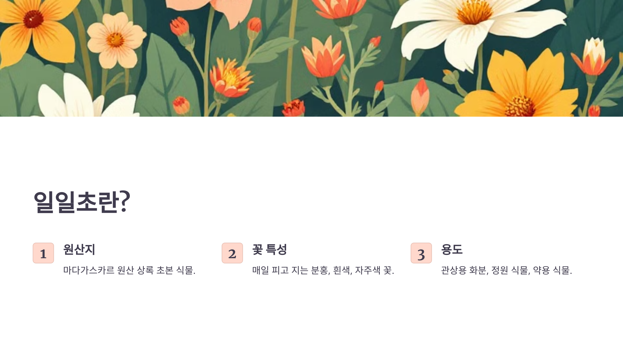 일일초와 관련된 사진입니다.