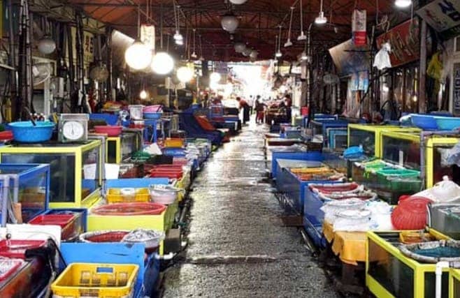 창원시티투어-마산-어시장