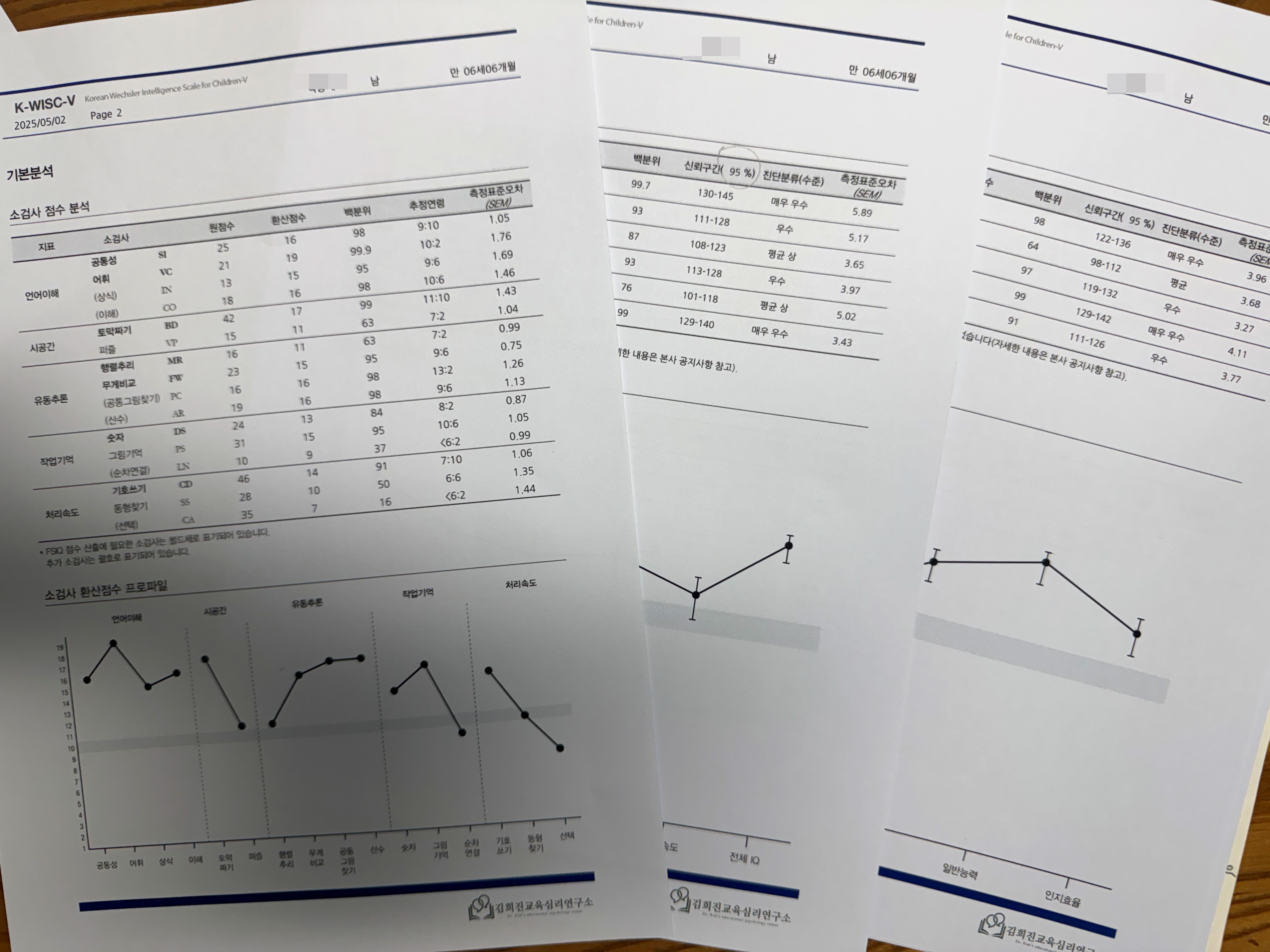 초등학생 웩슬러 검사 후기-IQ만 보는 검사 아니었어요!