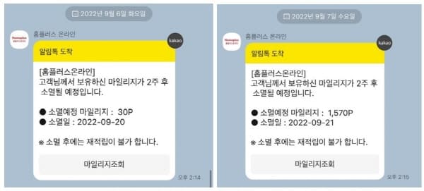홈플러스-마일리지-소멸안내문자