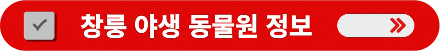 창룽-야생-동물원-정보-알아보는-방법