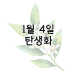 이 이미지를 클릭 하시면 1월 4일 탄생화에 관련된 포스팅으로 이동됩니다.