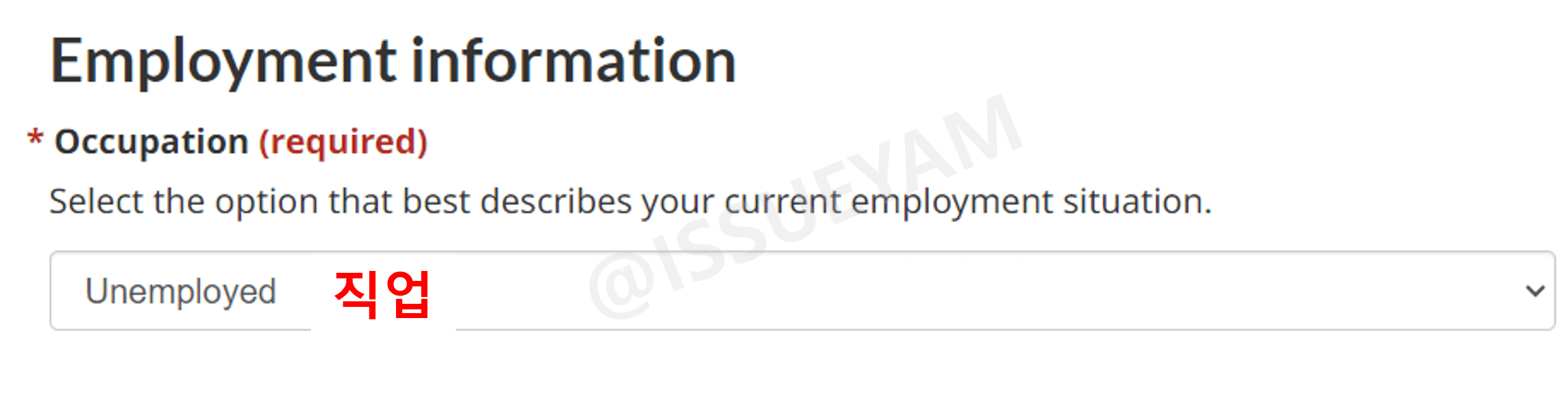 직업 정보 입력