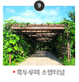 흑두루미소망터널