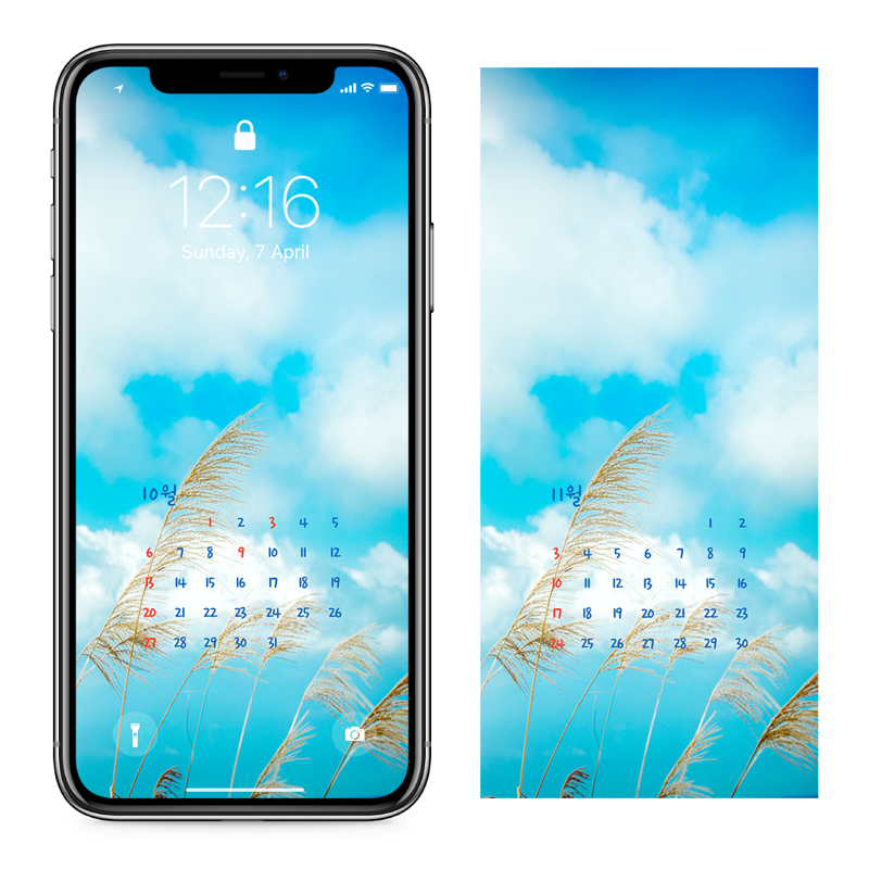 01 억새 AB - 2024년10월 아이폰달력배경화면