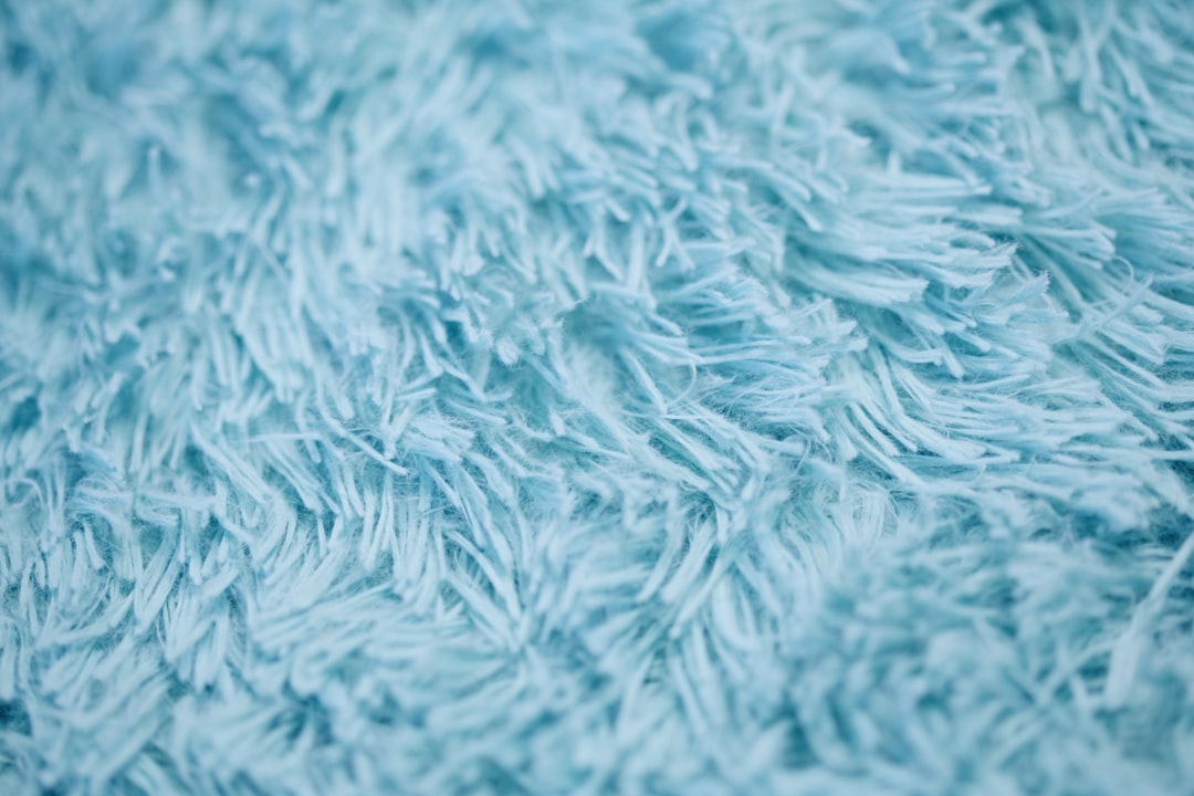 Blanket