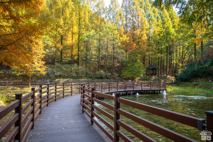 장태산 자연휴양림 야영장