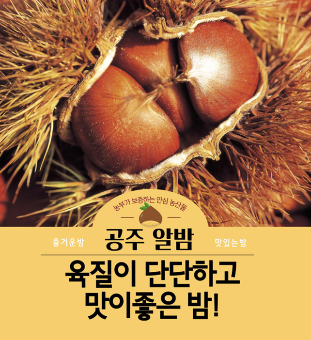 공주알밤