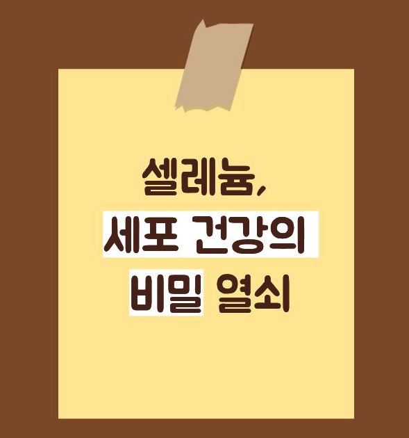 셀레늄 효능