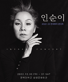 인순이 콘서트